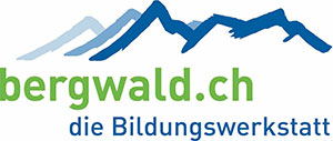 logo-bergwald-referenzen-first-aid-try-it